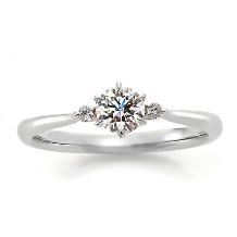 ＴＡＫＥＵＣＨＩ　ＢＲＩＤＡＬ　ＮＡＧＯＹＡ:【NEW YORK TIMELESS DIAMOND】プリンセス キャリッジ