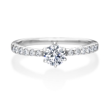 TAKEUCHI BRIDAL NAGOYA:【モニッケンダム】11EN19