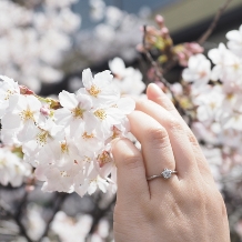 TAKEUCHI BRIDAL NAGOYA:【萬時】桜