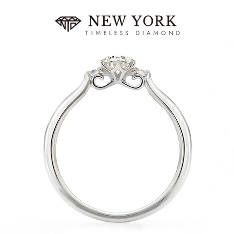 ＴＡＫＥＵＣＨＩ　ＢＲＩＤＡＬ　ＮＡＧＯＹＡ:【NEW YORK TIMELESS DIAMOND】プリンセス キャリッジ