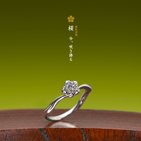 TAKEUCHI BRIDAL NAGOYA:【萬時】桜