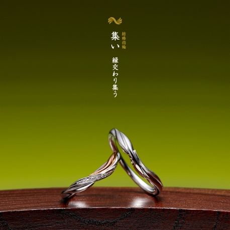 ＴＡＫＥＵＣＨＩ　ＢＲＩＤＡＬ　ＮＡＧＯＹＡ:【萬時】集い