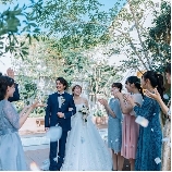 ＴＨＥ　ＦＯＲＥＳＴ　ＴＥＲＲＡＣＥ　ＨＡＫＡＴＡ（ザ・フォレストテラス博多）のブライダルフェア画像