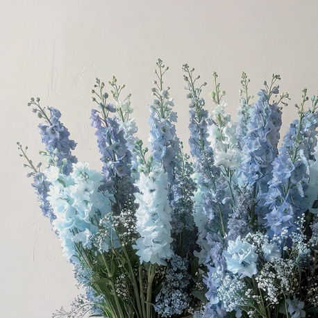 ＭＩＲＥＩ（ミレイ）：｜26.09 GRAND OPEN｜ハイエンド邸宅 ウエディング相談会