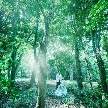 軽井沢 閑聖の杜（KARUIZAWA KANSEI NO MORI）のフェア画像