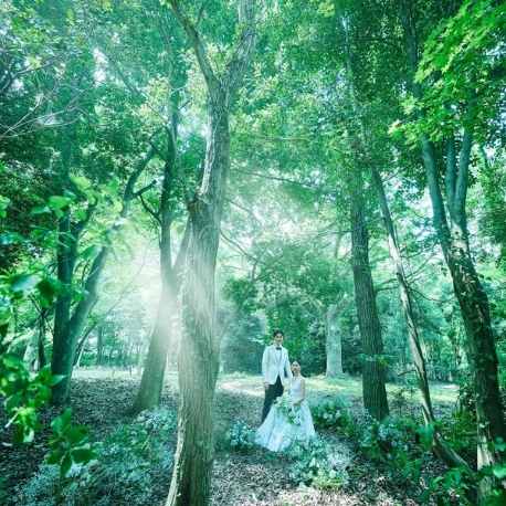 軽井沢 閑聖の杜（KARUIZAWA KANSEI NO MORI）：軽井沢の自然を動画で体感！リアルWDフェア≪オンライン開催≫