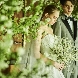 TRUNK (HOTEL)のフェア画像