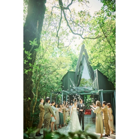 ＦＯＲＥＳＴ　ＧＡＴＨＥＲＩＮＧ：【森の中で叶える貸切Wedding】