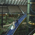 雅叙園東京のフェア画像