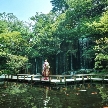 雅叙園東京のフェア画像