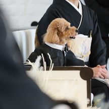 KIOKUNOMORI (記憶の森) その他3画像 2-2