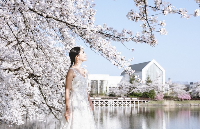 KIOKUNOMORI (記憶の森) 四季折々の景色を望む白亜の大邸宅画像 1