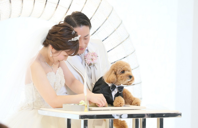 KIOKUNOMORI (記憶の森) その他3画像 1