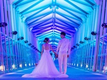 ホテルサンライフガーデン/グランドビクトリア湘南 ロケーション画像 2-4