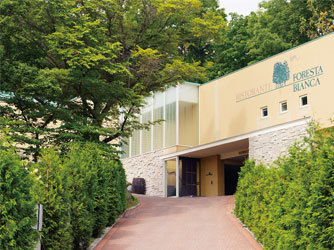 藻岩シャローム教会 その他3画像 2-2