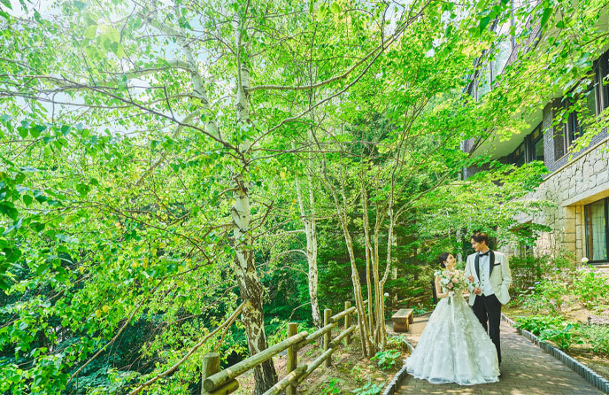 藻岩シャローム教会 演出画像 1