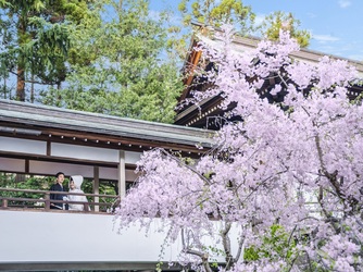 ロイヤルガーデンパレス 柏 日本閣 ロケーション2画像 2-2