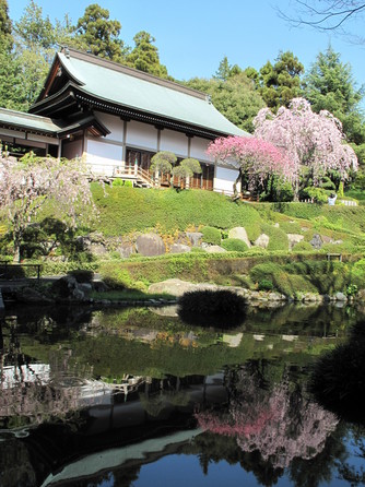 ロイヤルガーデンパレス 柏 日本閣 ロケーション3画像 1-1