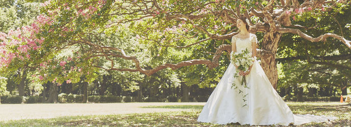 ロイヤルガーデンパレス 柏 日本閣 衣裳画像 1-1