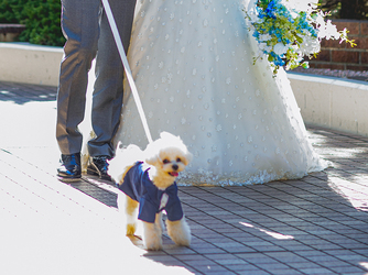 THE CLASSICA BAY RESORT (ザ クラシカ ベイリゾート) ロケーション2画像 2-3