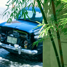 横浜迎賓館 ロケーション1画像 2-2