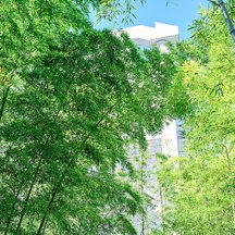 横浜迎賓館 ロケーション1画像 2-1