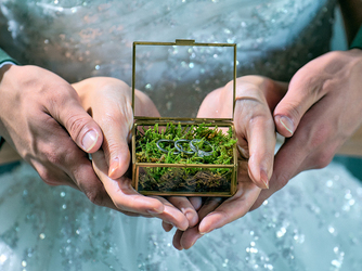 横浜迎賓館 チャペル(陽光ふり注ぐ「音楽堂(サウンドホール)」)画像 2-3
