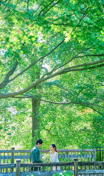 横浜迎賓館 ロケーション2画像 2-1