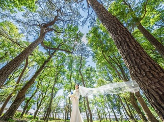 フェニックス・シーガイア・オーシャン・タワー 撮影スポット画像 2-1