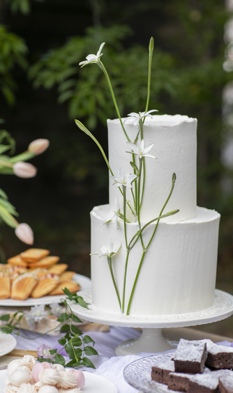 アクアリュクス 料理・ケーキ2画像 2-1