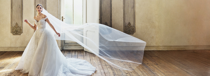 アクアリュクス 衣裳1画像 1-1