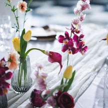 ホテルモントレエーデルホフ札幌 ベルクホール画像 2-2