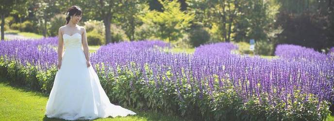 森のスパリゾート 北海道ホテル ロケーション1画像 2-1