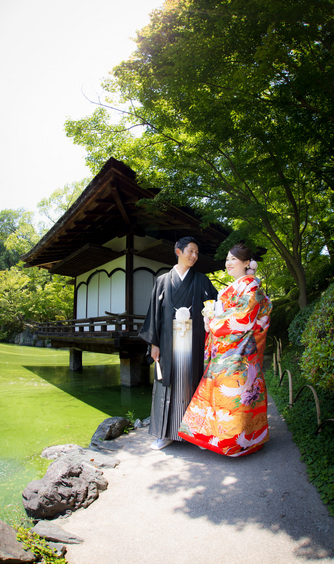 ラヴィーナ和歌山 ロケーション5画像 1-1