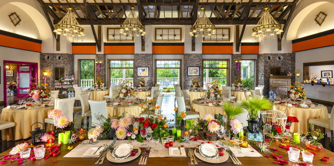 ラヴィーナ和歌山 モンタルチーノ/コーディネート画像 1