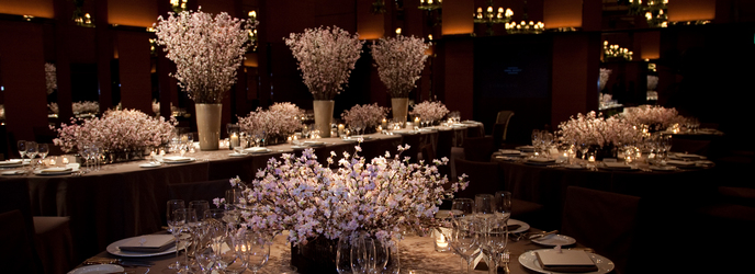 パーク ハイアット 東京 ヴェネシアンルーム画像 1-1