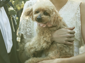 ル・シャン・ド・クク 寛ぎの会食パーティ会場『レガート』画像 2-3