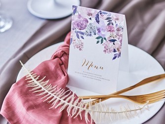 サンフィレール岡崎 WhiteTerrace/ホワイトテラス画像 2-2