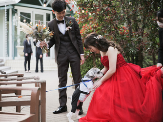 eglise de 葉山庵(エグリーズ ドゥ はやまあん) 教会(独立型チャペル)画像 2-3