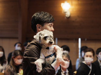 eglise de 葉山庵(エグリーズ ドゥ はやまあん) 教会(独立型チャペル)画像 2-2