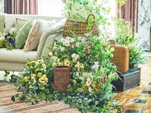 デュオ・グランシャリオ ベルカント画像 2-3