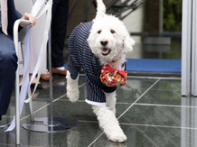 JASMAC YAKUMO(ジャスマック八雲) セレモニースペース(JASMAC YAKUMO/屋外テラス)画像 2-4