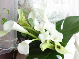 シャトー文雅 レストラン&ウエディング その他1画像 1-2