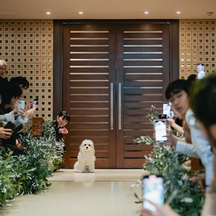 WITH THE STYLE FUKUOKA (ウィズザスタイルフクオカ) チャペル/人前式/リングドッグ画像 2-3