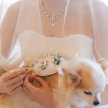 リヴァージュブラン(RIVAGE BLANC) その他3画像 2-2