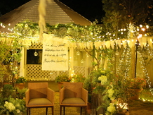 ぶどうの樹 GREEN WEDDING @岡垣町 森と空画像 2-4