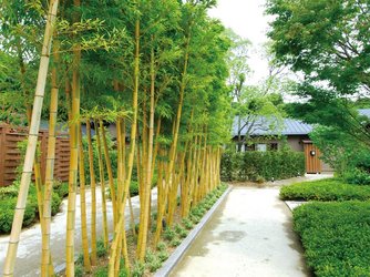 ぶどうの樹 GREEN WEDDING @岡垣町 付帯設備画像 2-3