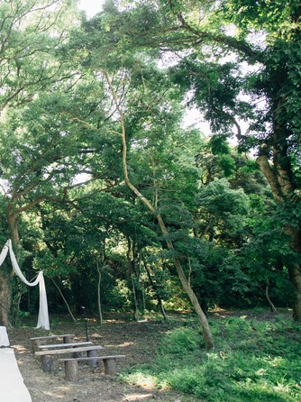 ぶどうの樹 GREEN WEDDING @岡垣町 セレモニースペース(「森の挙式」)画像 1-2