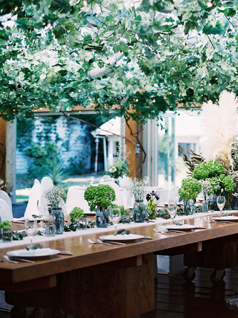 ぶどうの樹 GREEN WEDDING @岡垣町 ゆかいな果樹園画像 1-1