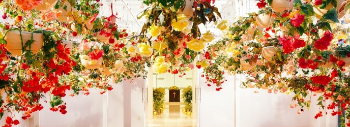 ぶどうの樹 GREEN WEDDING @岡垣町 チャペル(チャペル「ル・レーヴ」)画像 2-1